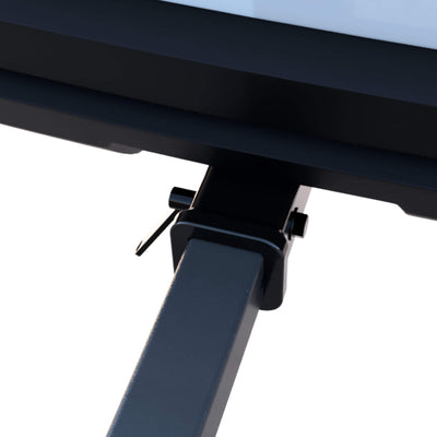 MotoTote hitch motorcycle carrier